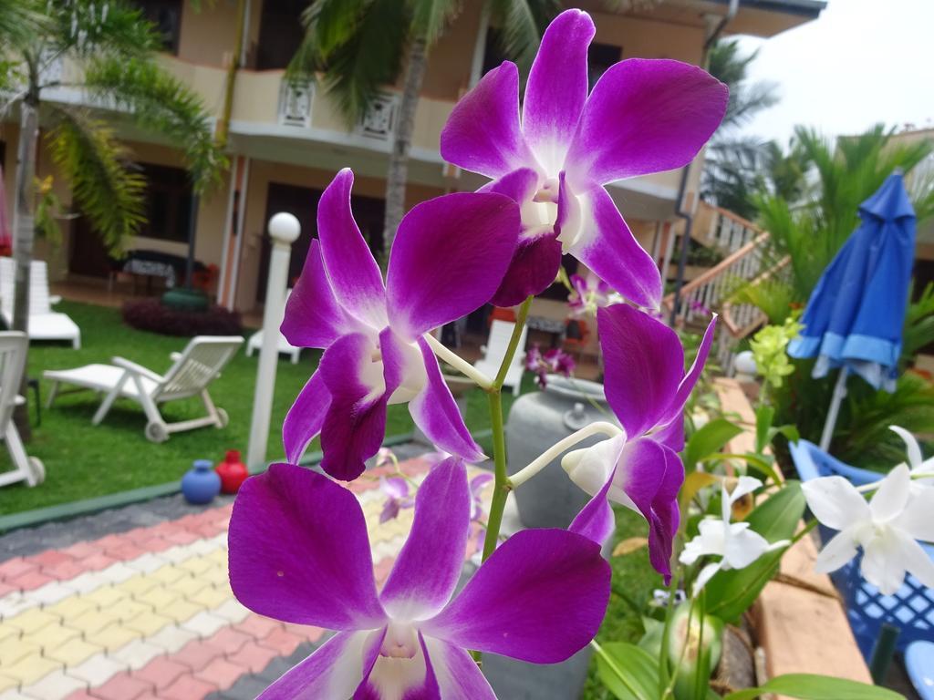 Hilda Guest House Hikkaduwa Exterior foto
