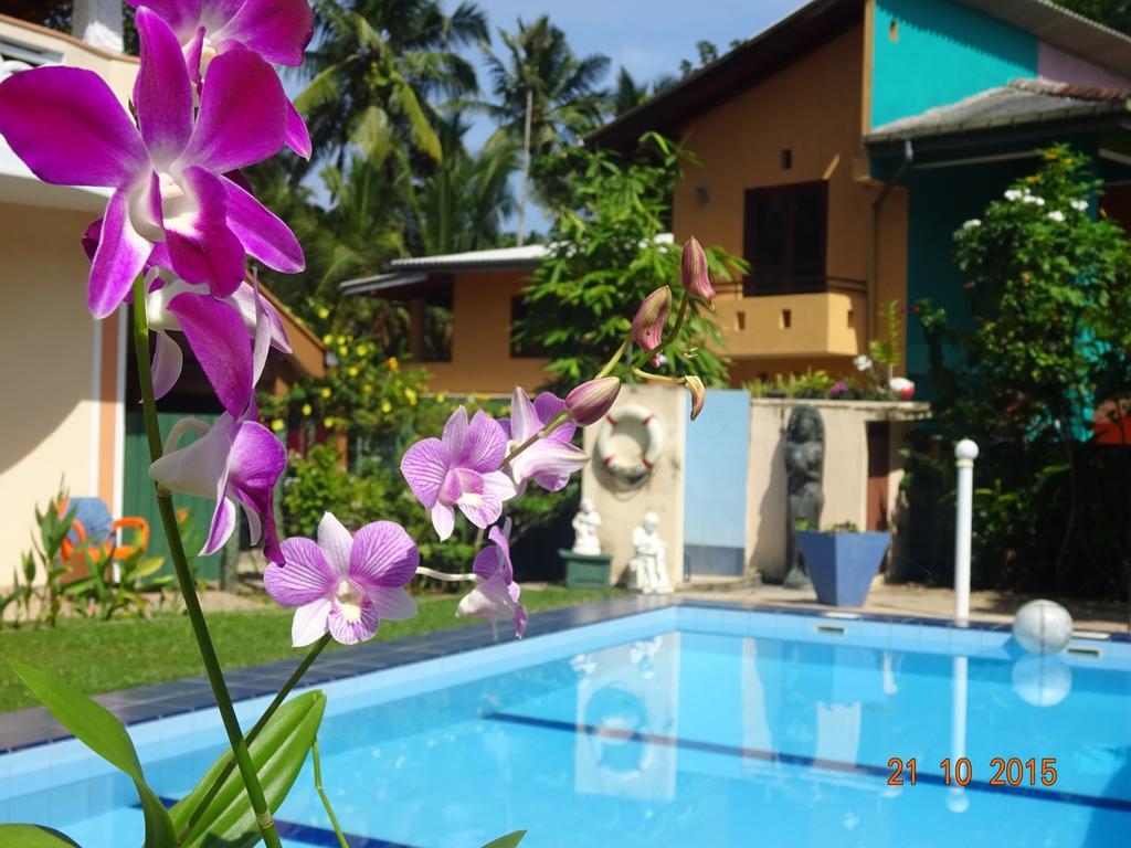 Hilda Guest House Hikkaduwa Exterior foto