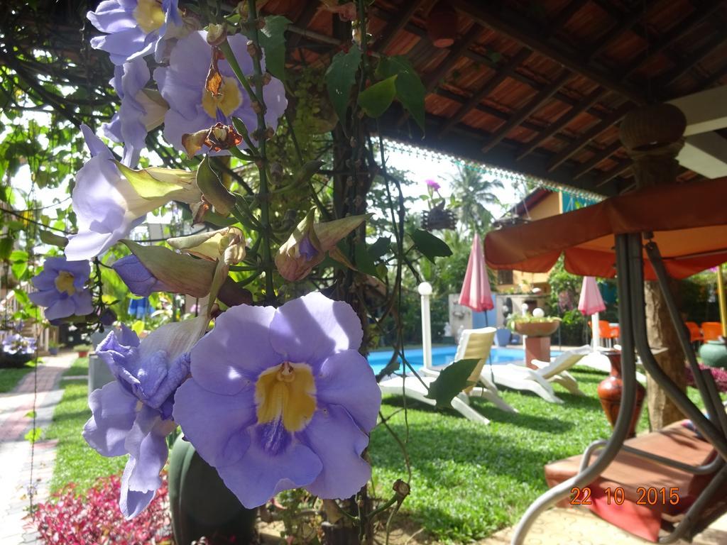 Hilda Guest House Hikkaduwa Exterior foto