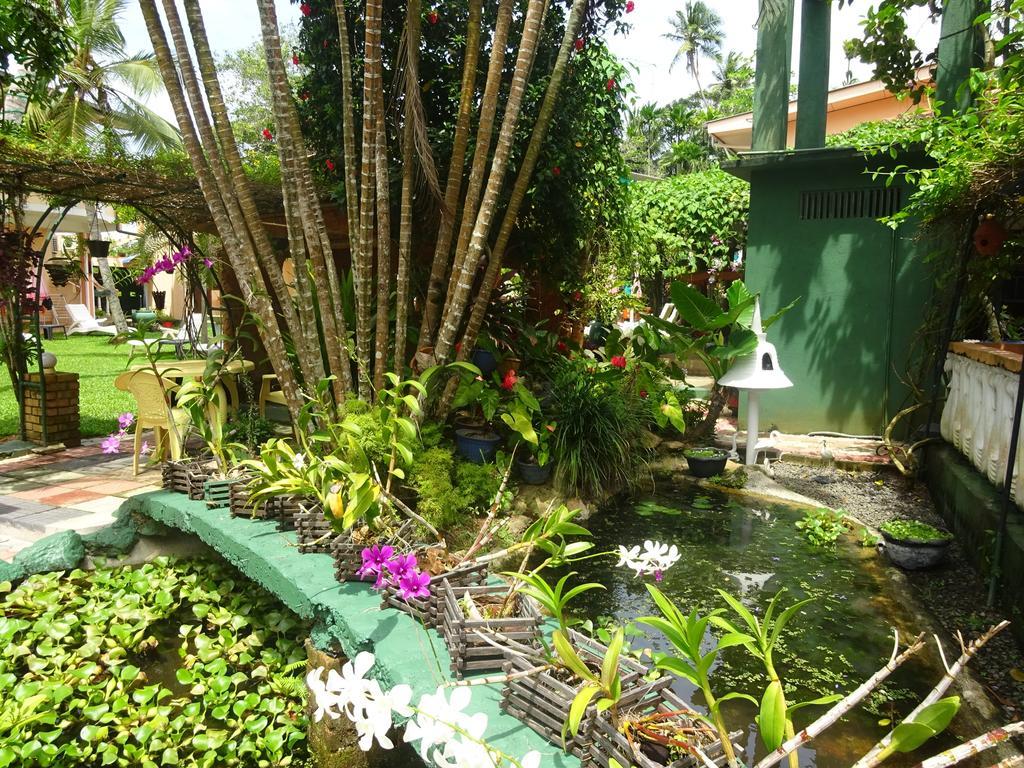 Hilda Guest House Hikkaduwa Exterior foto
